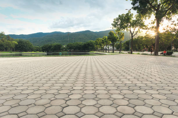 Best Commercial Driveway Pavers  in Somerset, MD