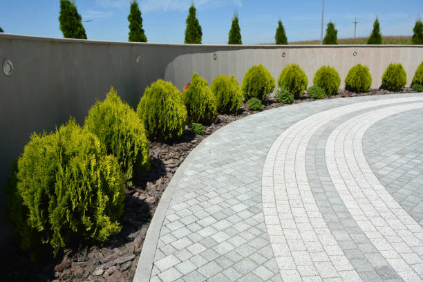 Best Commercial Driveway Pavers  in Somerset, MD